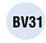 bv31
