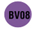 bv08