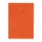 A5週間ノート  EDiT スープル・ビス【タンジェリンオレンジ】